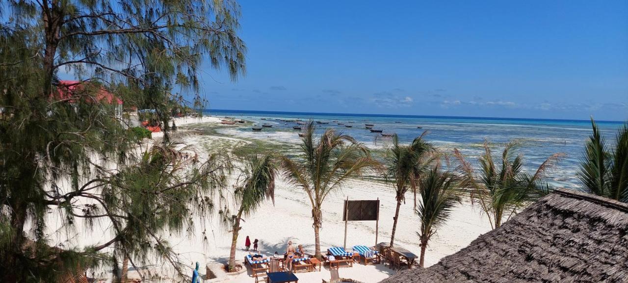 Aquarium Beach House Nungwi Dış mekan fotoğraf